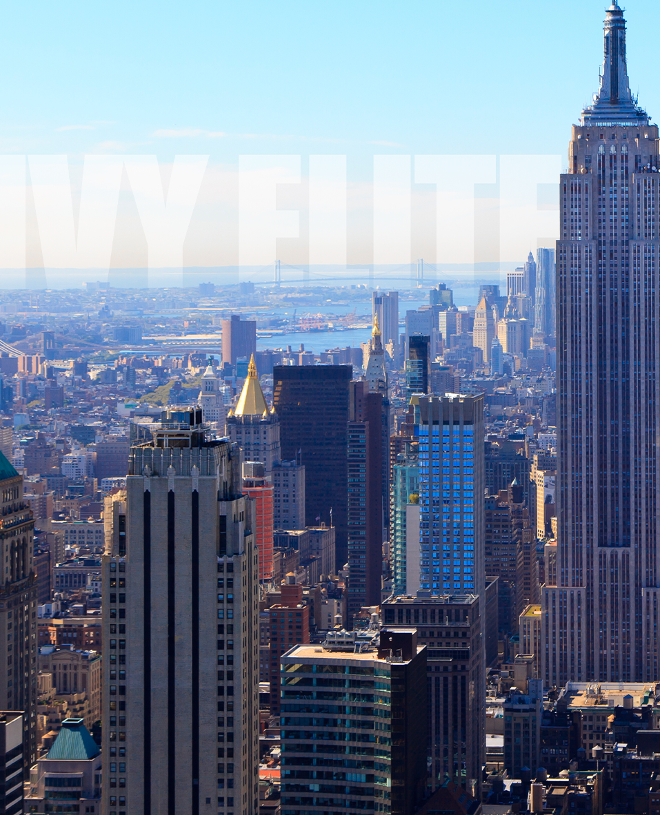 纽约城市景观